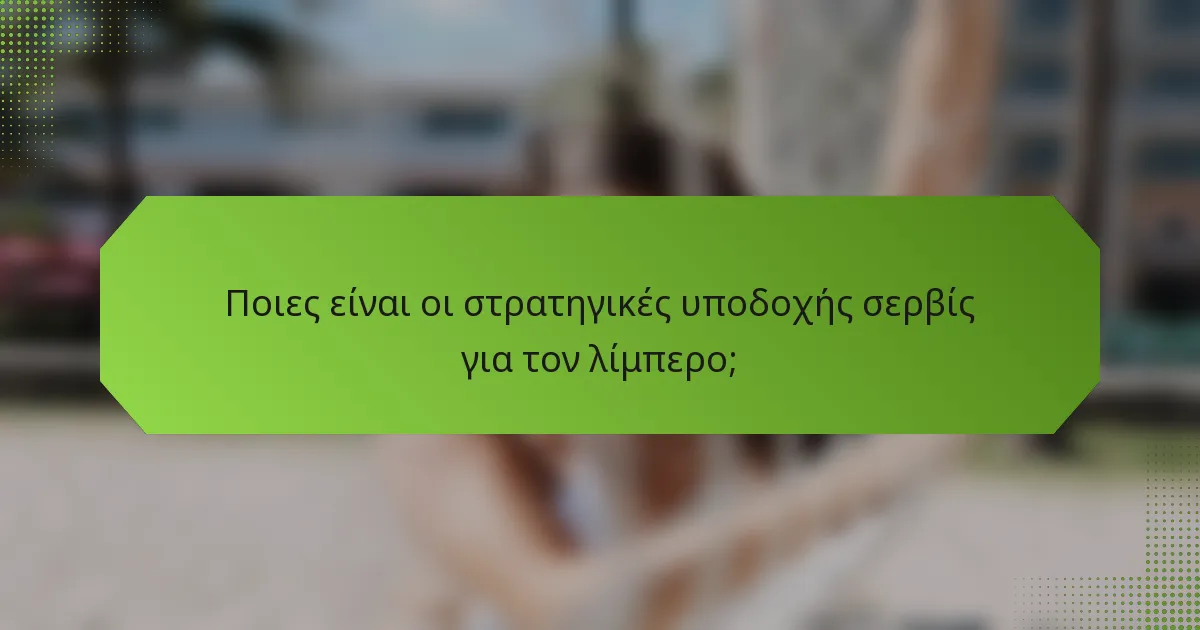 Ποιες είναι οι στρατηγικές υποδοχής σερβίς για τον λίμπερο;